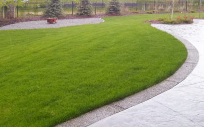 Caring For Brand New Sod