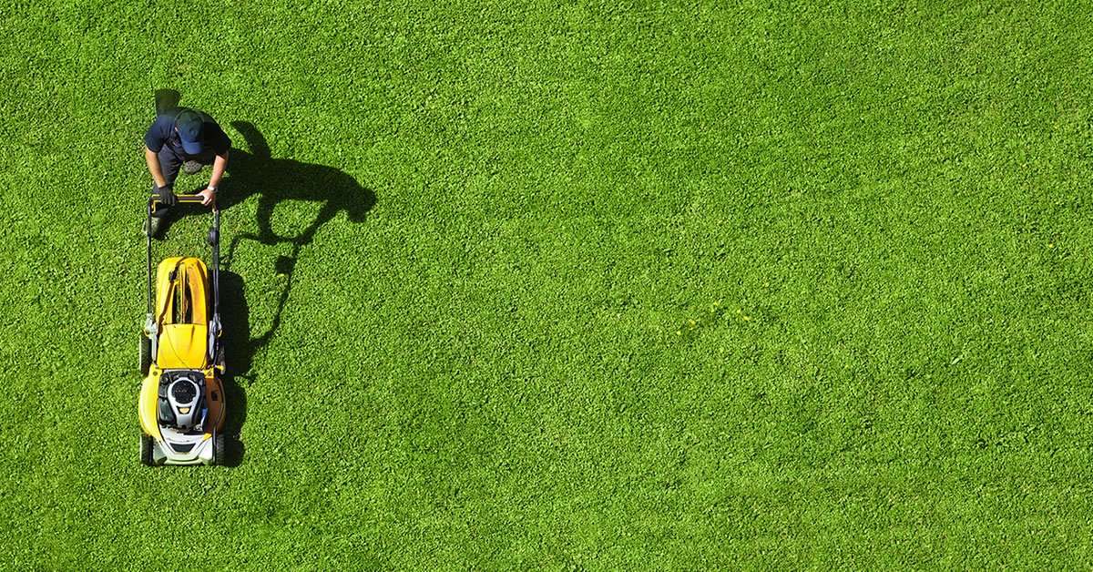 Ottawa Lawn Maintenance - Grass Mowing - J.R. Lawn and Snow photo 2